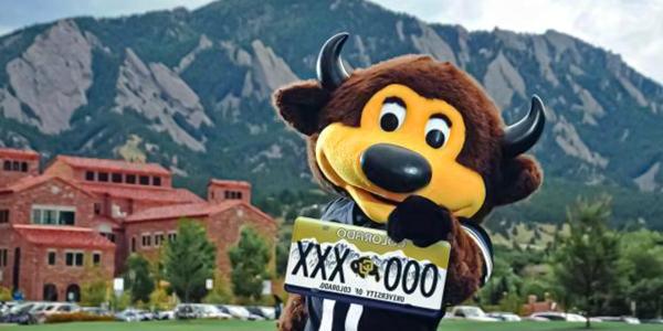 Chip holding a CU Boulder license plate