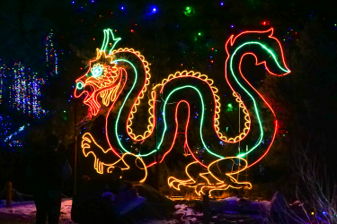 Zoo Lights Dragon