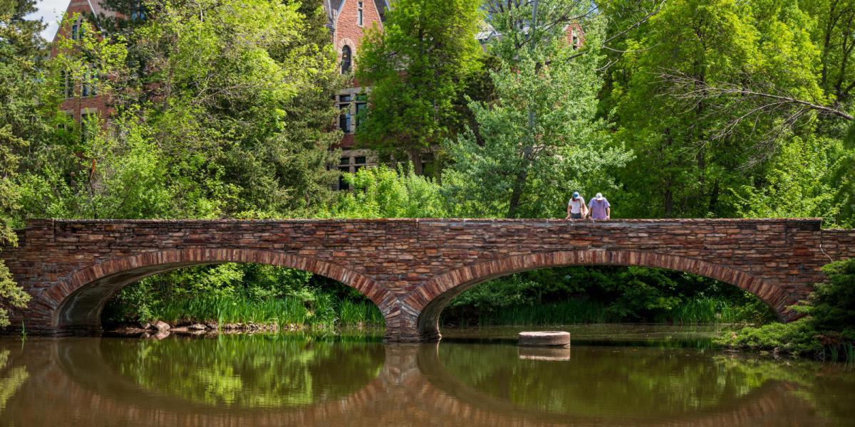 Campus Bridge Scenic