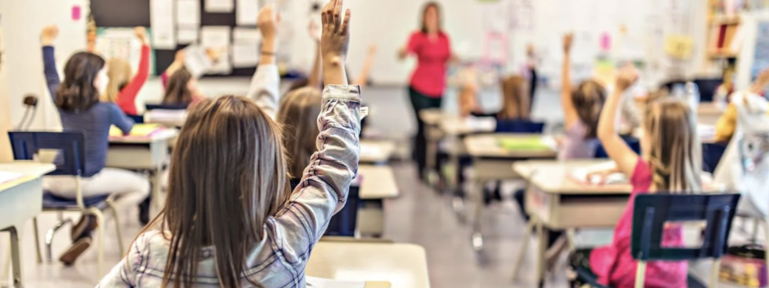 child raising hand in class