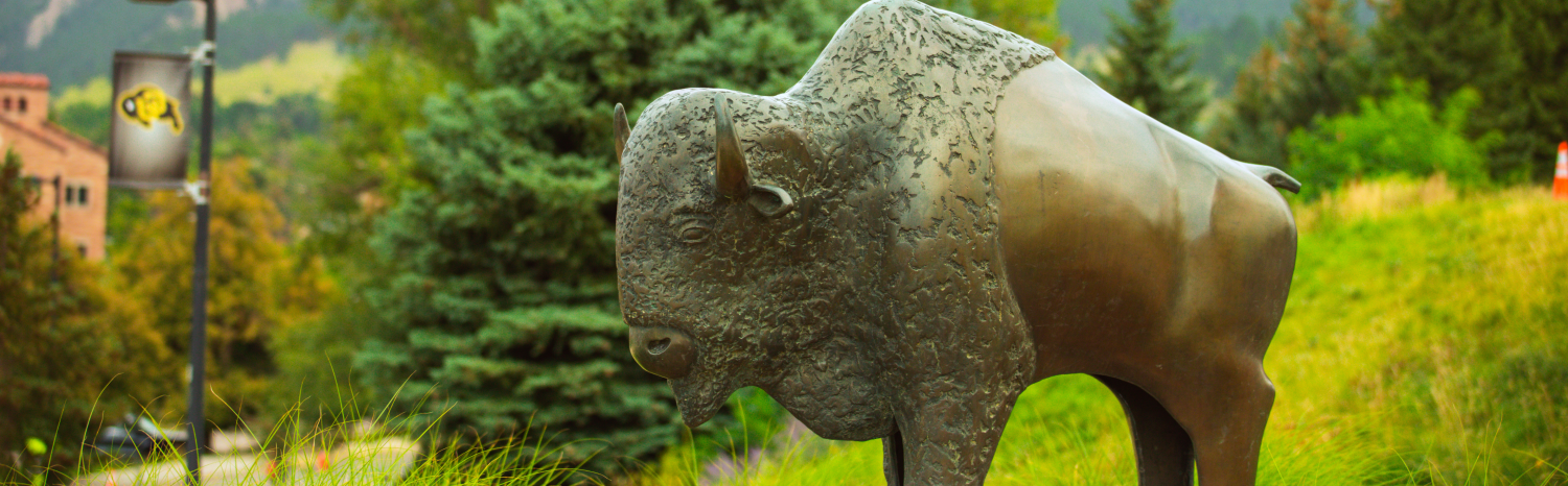 Ralphie statue on campus