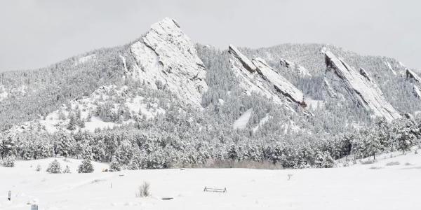 熨斗上覆盖着雪