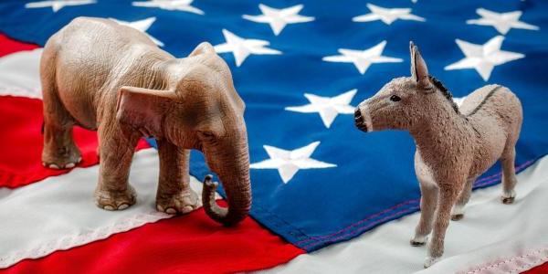 Photo of a donkey and elephant figurine on top of an American flag