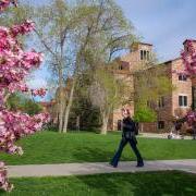 student walking on campus on a spring day