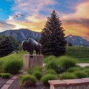 Ralphie statue on campus with sunset in background