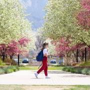 a student walking across campus in spring