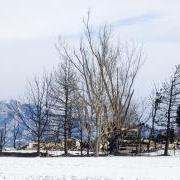 A view of a burned neighborhood in Lousiville,CO after the Marshall Fire.