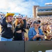 football fans cheering in the stands