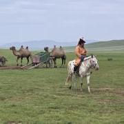 countryside in Mongolia