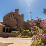 A campus building is drenched in sun, with a blossoming branch of pink flowers in the foreground.